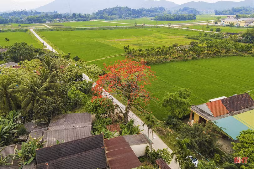 Hà Tĩnh tiếp diễn nắng nóng gay gắt, có nơi 39 độ C