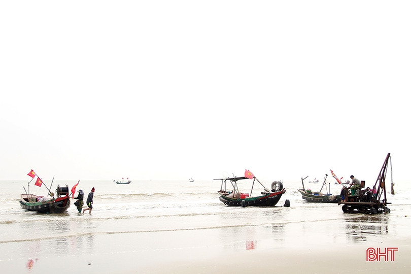 Ngư dân miền biển phía Bắc Hà Tĩnh được mùa cá trích