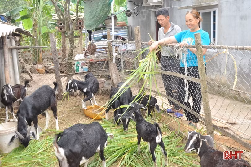Tiếp tục triển khai kịp thời các chương trình tín dụng chính sách ở Hà Tĩnh