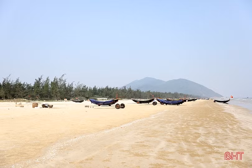 Mất mùa sứa chưa từng có ở xã ven biển phía Nam Hà Tĩnh