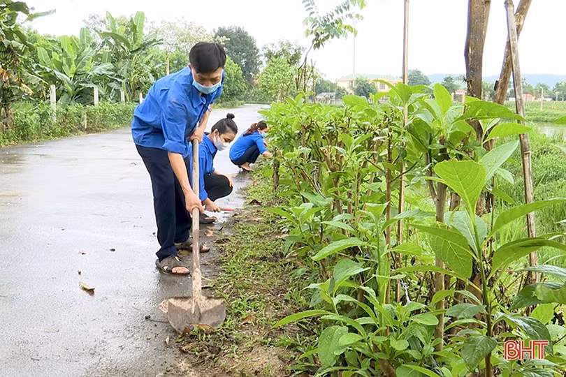 Cán bộ đoàn nhiệt huyết, giỏi làm kinh tế ở Đức Thọ