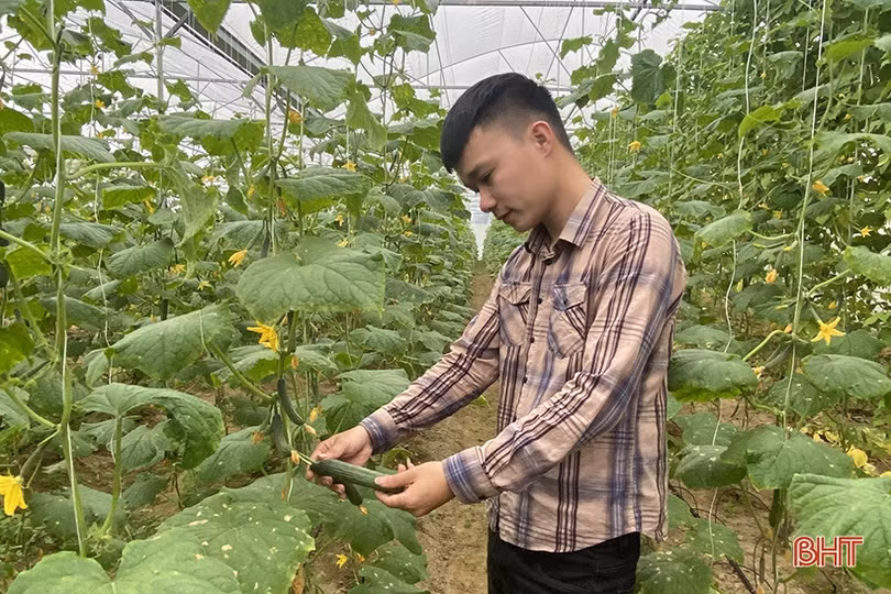 Nhiều “startup” trẻ Đức Thọ thành công từ mảnh đất quê hương