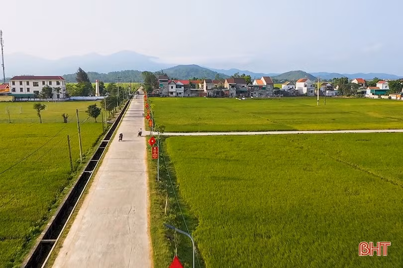 Bản tình ca xanh đi cùng năm tháng