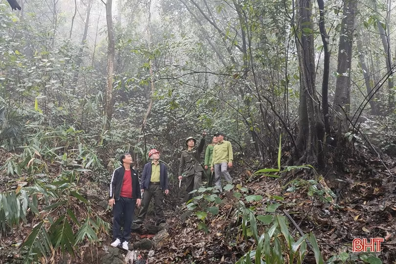 Can Lộc lên phương án phòng chống cháy rừng trước mùa nắng nóng