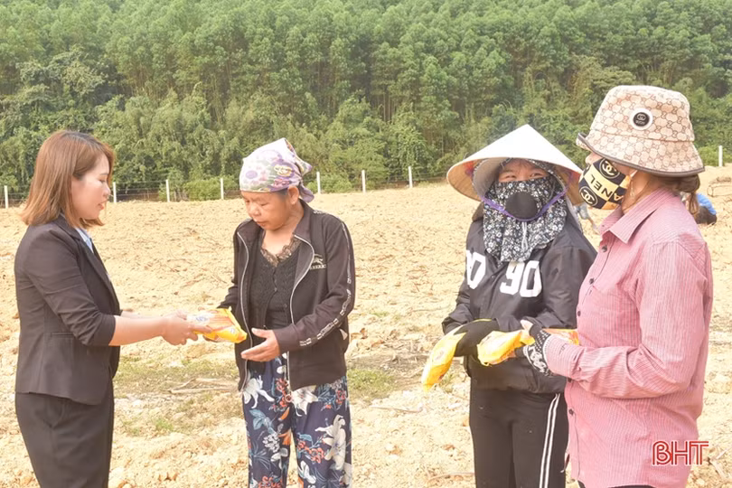 Những người trẻ Hà Tĩnh xung kích nơi miền biên viễn