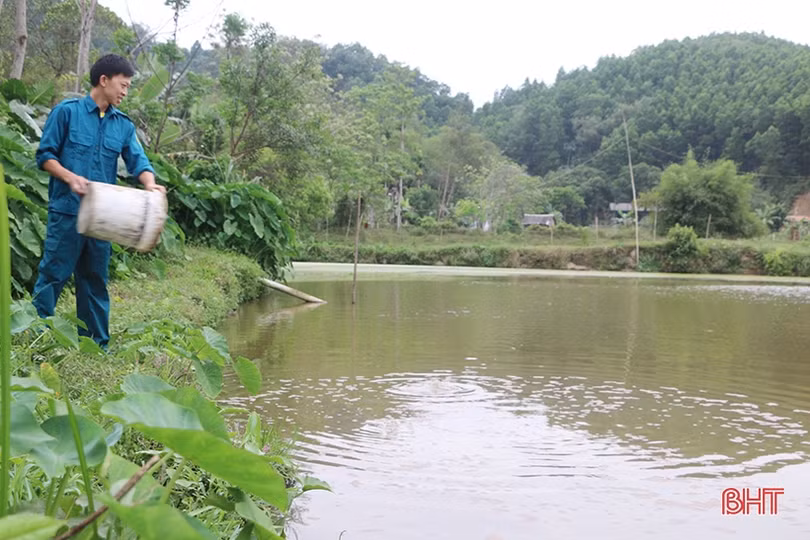 Cán bộ đoàn nhiệt huyết, giỏi làm kinh tế ở Đức Thọ