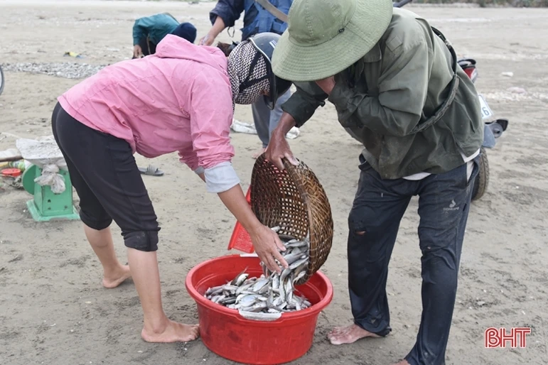 Các tổ lưới rùng của ngư dân Thịnh Lộc vào mùa khai thác hải sản