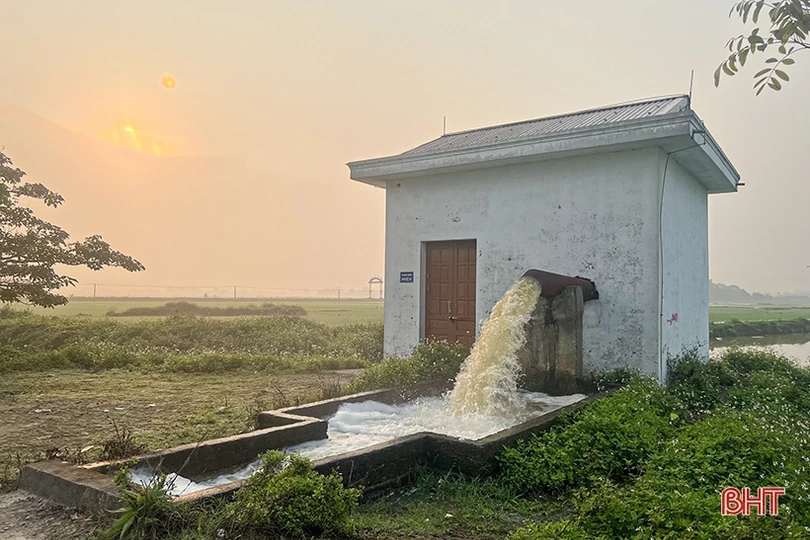 Nông dân Hà Tĩnh tích cực chăm bón lúa xuân “thì con gái”