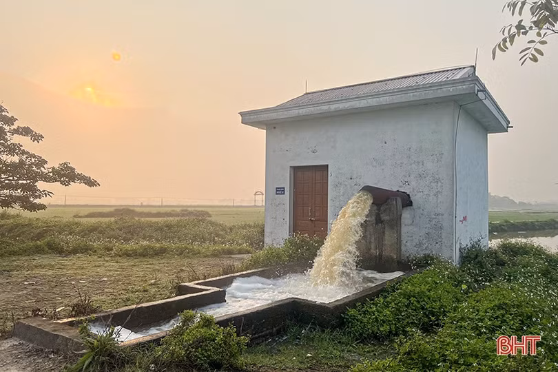 Nông dân Hà Tĩnh tích cực chăm bón lúa xuân “thì con gái”