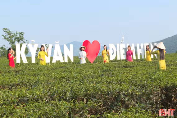 Trải nghiệm thú vị tại đồi chè Kỳ Văn