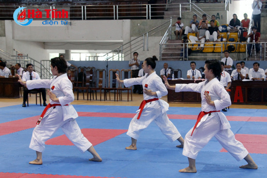 khai mac giai vo dich karatedo toan quoc nam 2017 tai ha tinh