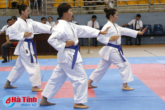 khai mac giai vo dich karatedo toan quoc nam 2017 tai ha tinh