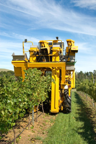 thanh tuu nong nghiep cong nghe cao israel khien the gioi nguong mo