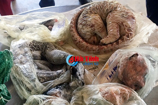 chu quan tap hoa nuoi ran ho mang tang tru nhieu dong vat hoang da