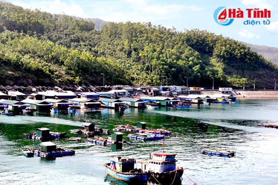 muc nhay chuyen dia diem nhuong cho cho cau cang so 3