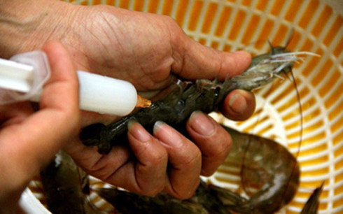 khan cap chua benh sach xuat khau ban de dung