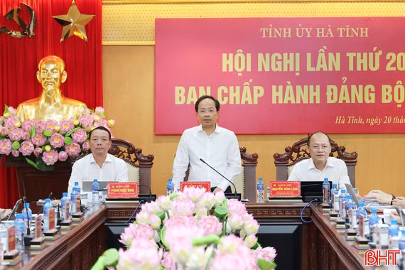 Ban Chấp hành Đảng bộ tỉnh Hà Tĩnh cho ý kiến các nội dung thuộc thẩm quyền 