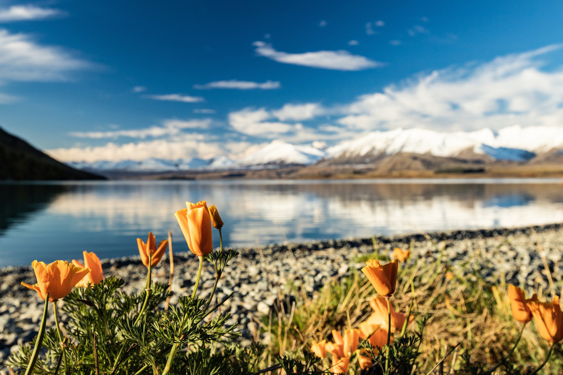 New Zealand - mùa thu mê đắm lòng người