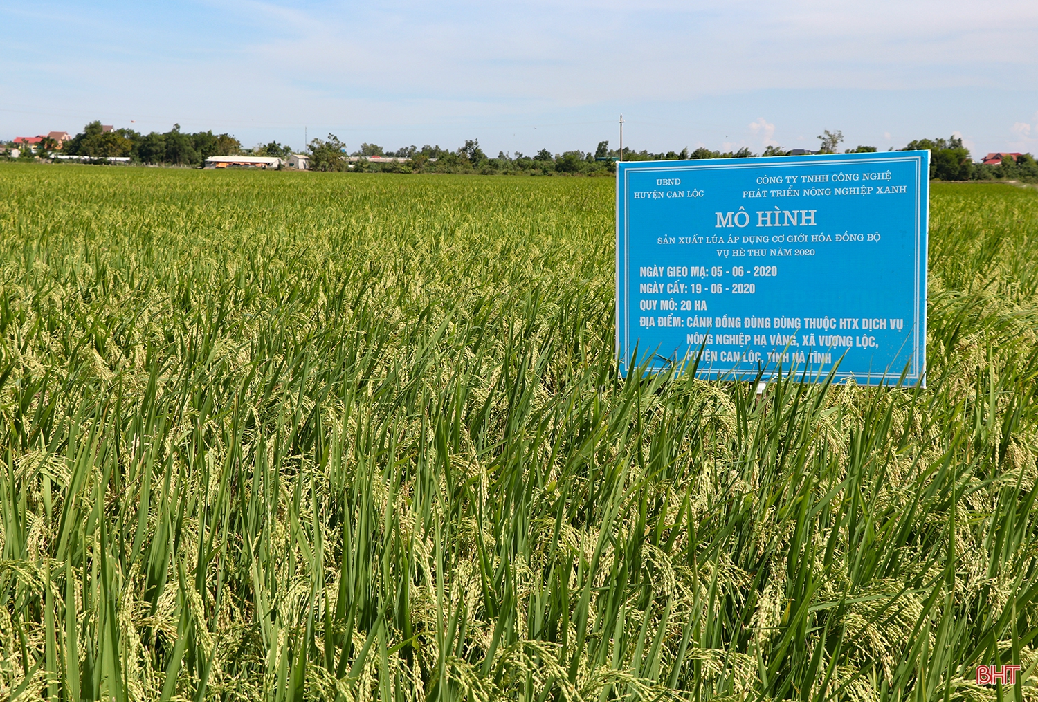 Từ dồn điền đổi thửa đến tích tụ ruộng đất - “cuộc cách mạng” trên quê lúa Can Lộc (bài 2): Tập trung đồng bộ, đưa sản xuất lúa gạo phát triển bền vững