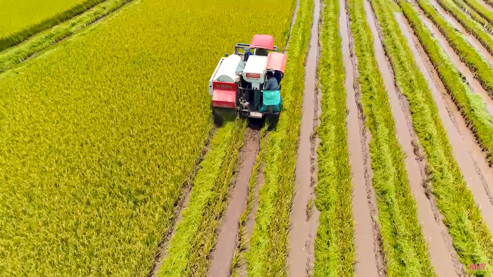 Từ dồn điền đổi thửa đến tích tụ ruộng đất - “cuộc cách mạng” trên quê lúa Can Lộc (bài 2): Tập trung đồng bộ, đưa sản xuất lúa gạo phát triển bền vững