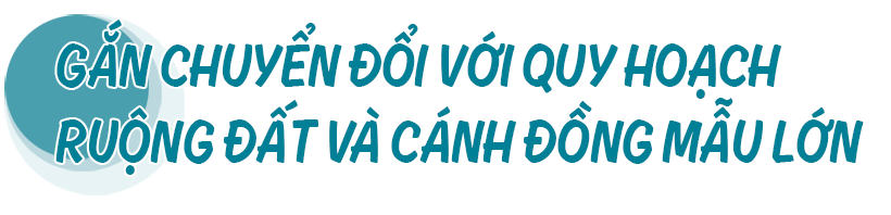 Từ dồn điền đổi thửa đến tích tụ ruộng đất - “cuộc cách mạng” trên quê lúa Can Lộc (bài 2): Tập trung đồng bộ, đưa sản xuất lúa gạo phát triển bền vững