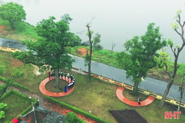 Chuyện những cây cổ thụ trong quần thể di tích quốc gia đặc biệt