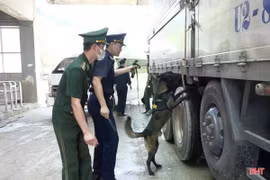 Lực lượng biên phòng đấu tranh 51 chuyên án, bắt giữ 5.690 vụ trong đợt ra quân cao điểm