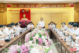 Ban Thường vụ, Ban Chấp hành Đảng bộ tỉnh bàn phương án nhân sự nhiệm kỳ 2025 - 2030