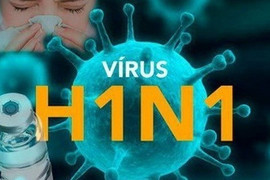 Bình Định ghi nhận 4 ca tử vong do cúm A(H1N1)pdm