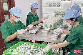 Doanh nghiệp nông nghiệp - đầu kéo kinh tế nông thôn phát triển