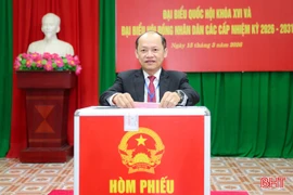 Phó Bí thư Thường trực Tỉnh ủy bỏ phiếu bầu cử tại phường Thành Sen
