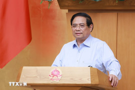 Nắm chắc tình hình để thích ứng, linh hoạt triển khai các giải pháp phát triển 