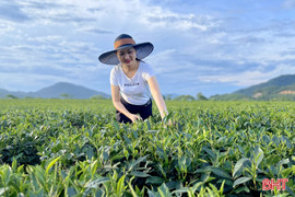 Ngân hàng Phát triển Châu Á triển khai dự án du lịch tại Hà Tĩnh