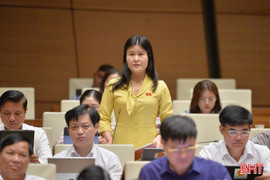 Đại biểu Quốc hội Hà Tĩnh tranh luận về quy định hệ số nợ phải trả