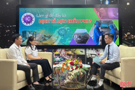Vấn đề hôm nay: Làm gì để đẩy lùi dịch tả lợn châu Phi?