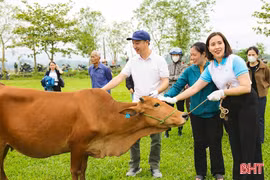 Viết lại câu chuyện cuộc đời cho những phụ nữ nghèo