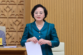 Khẩn trương, dứt điểm việc sắp xếp đơn vị sự nghiệp và DNNN trong quý IV