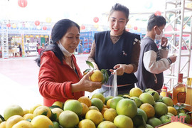 Lễ hội Cam và các sản phẩm Hà Tĩnh năm 2024 diễn ra giữa tháng 11