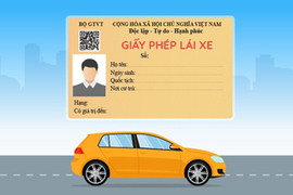 Giấy phép lái xe cấp trước 1/1/2025 được cấp, đổi lại thế nào?