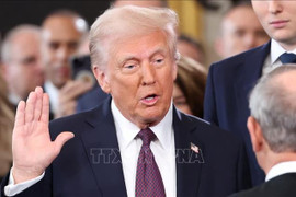 Bắt giữ nghi phạm đe dọa Tổng thống Donald Trump trên TikTok