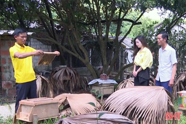 Mật ong Vũ Quang - nếm một lần là nhớ mãi