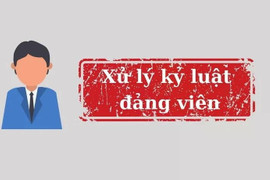 Bộ Chính trị, Ban Bí thư xem xét, thi hành kỷ luật đảng viên