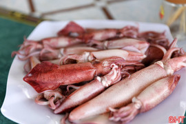 Cuốn hút ẩm thực miền biển Hà Tĩnh