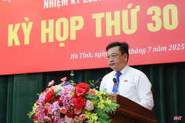 Đại biểu HĐND tỉnh sôi nổi bàn giải pháp phát triển kinh tế - xã hội