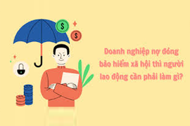 BHXH khu vực XV công khai 30 đơn vị nợ các loại bảo hiểm