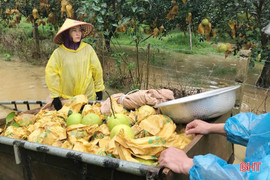 Cập nhật diễn biến mưa lũ ở Hà Tĩnh