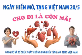 Ngày Hiến mô, tạng Việt Nam 20/5: Cho đi là còn mãi