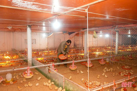 Tập trung phòng chống dịch bệnh trên chăn nuôi, siết hoạt động buôn bán, vận chuyển, giết mổ