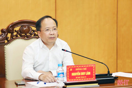 Thường trực Tỉnh ủy cho ý kiến chuẩn bị Kỷ niệm 80 năm Ngày Tổng tuyển cử đầu tiên và Kỳ họp thứ 10 của Quốc hội