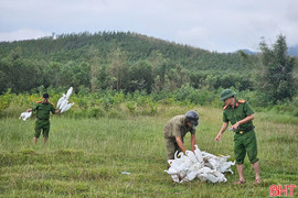 Tích cực tuyên truyền, đấu tranh, xử lý vi phạm về bảo vệ các loài động vật hoang dã, nguồn lợi thủy sản
